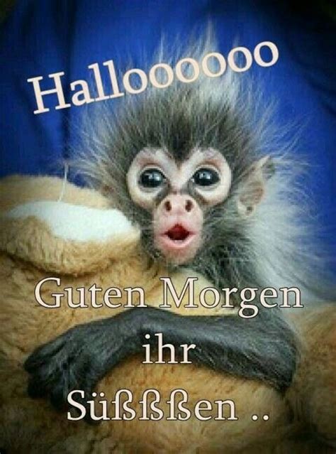 guten morgen bilder lustig